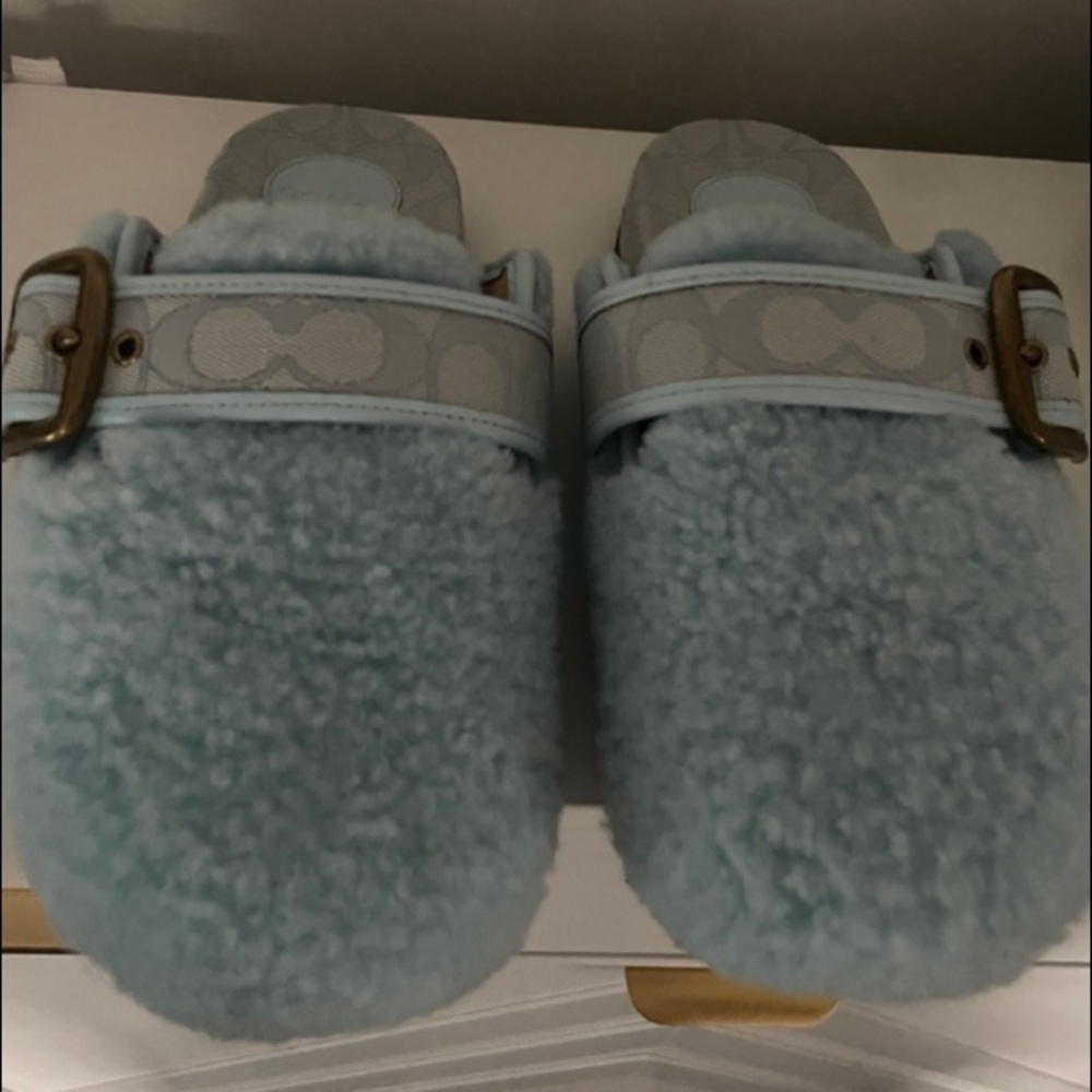 COACH
SHEARLING
CLOG C6463